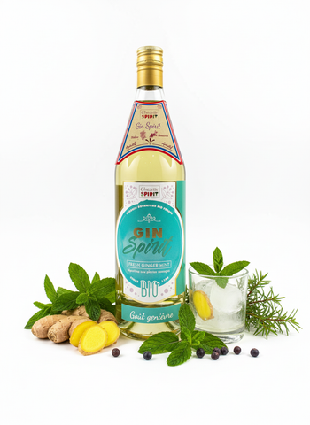 GIN SPIRIT BIO 37,50%