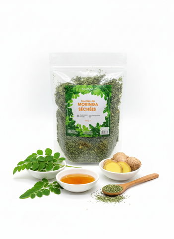 Moringa séchés