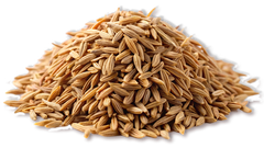 Cumin 60g